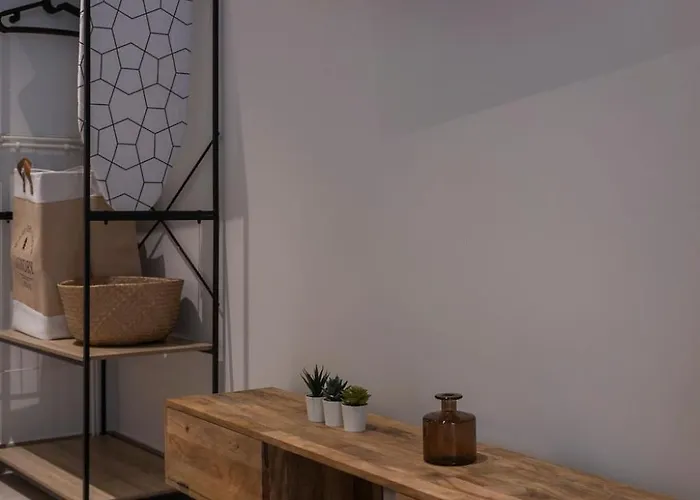 Vlc Host - Zapadores * Valencia