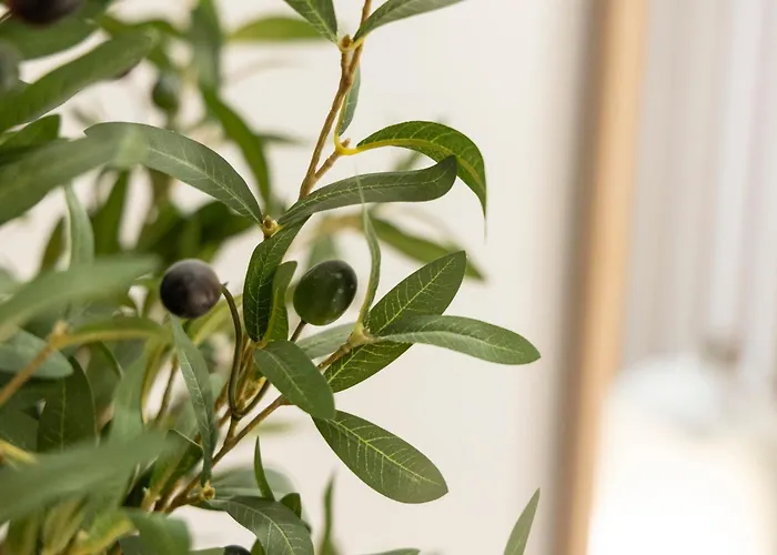 Favara A By Concept Flats *