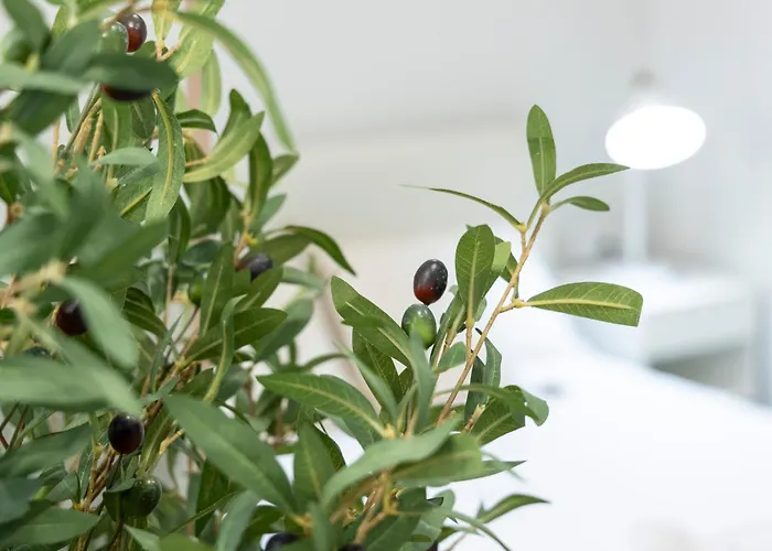 Favara B By Concept Flats * فالنسيا