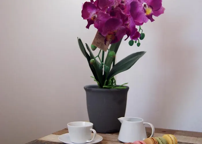 Centricos Barrio Del Carmen Βαλένθια