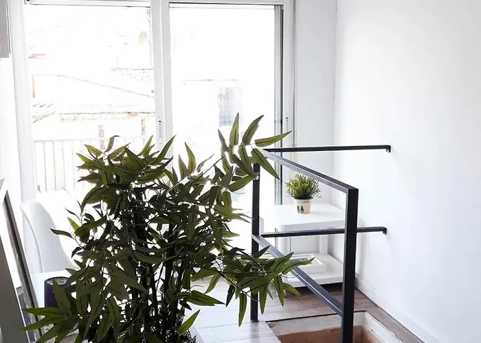 Centricos Barrio Del Carmen