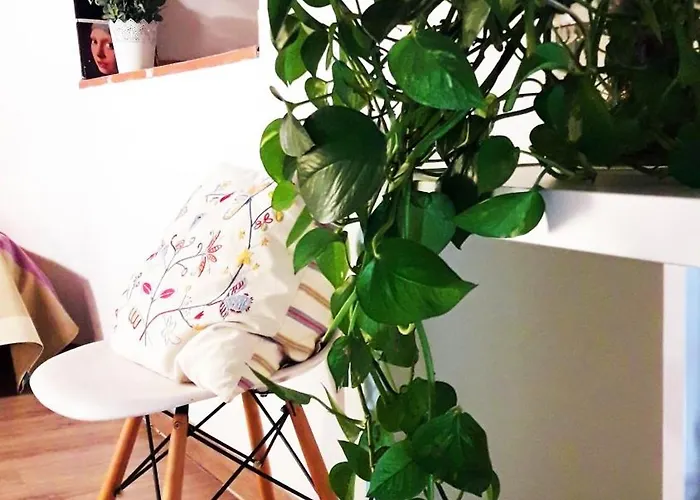 Διαμέρισμα Centricos Barrio Del Carmen *