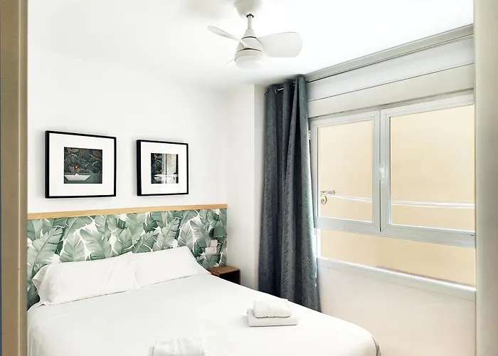 Flats Friends Nave Appartement Valence