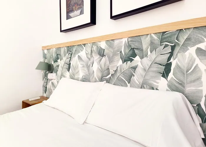 Flats Friends Nave *