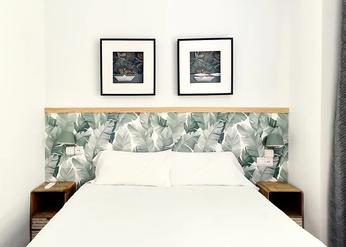 Flats Friends Nave *