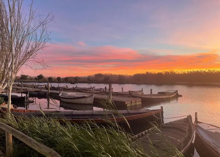 Appartamento Beautiful Tulip