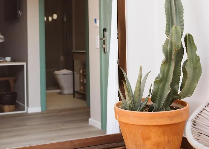 Lindala Natural 4* 발렌시아