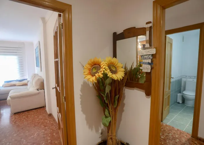 Lovely Near The & Of Arts And Sciences * Βαλένθια