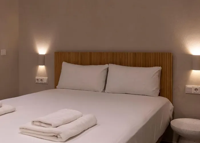 Vlc Host - Molina Del Palau