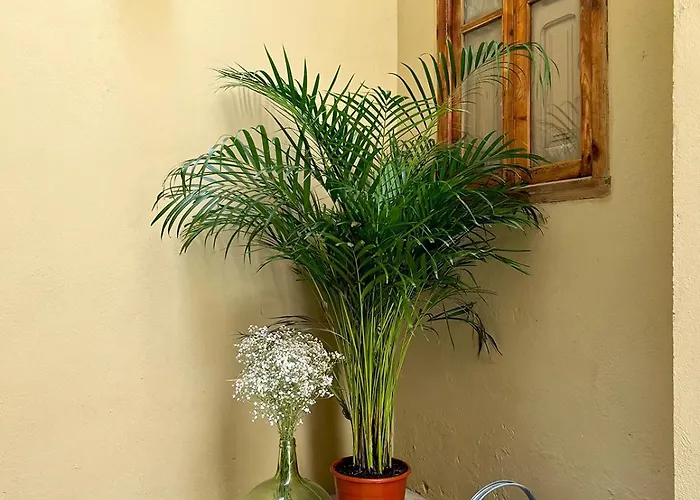 Διαμέρισμα El Rincon De Maria Vicenta