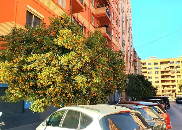 Nuevo Costa Del Alma * Valence