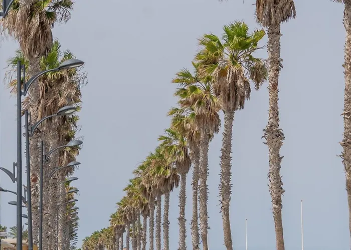 Nautico Junto A La Playa Malvarrosa فالنسيا