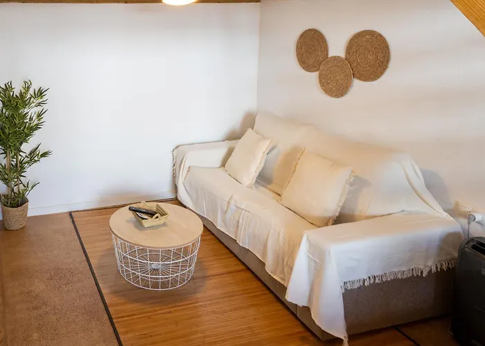 Loft Industrial Doble Altura Valencia