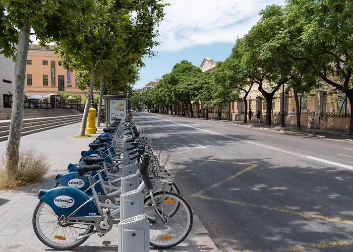 Na Jordana Flat Valence