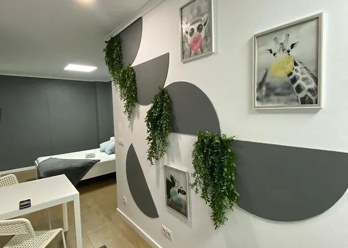 Optimus Comfort Πανσιόν Βαλένθια