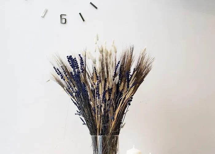 アパート Cosy Duplex Centro