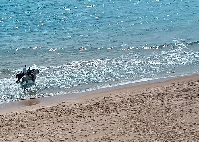 Blue Double Private At Front - En La Playa Piso Compartido Βαλένθια