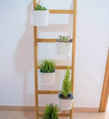 Tranquilo Y Acogedor En El Centro De La Ciudad 아파트