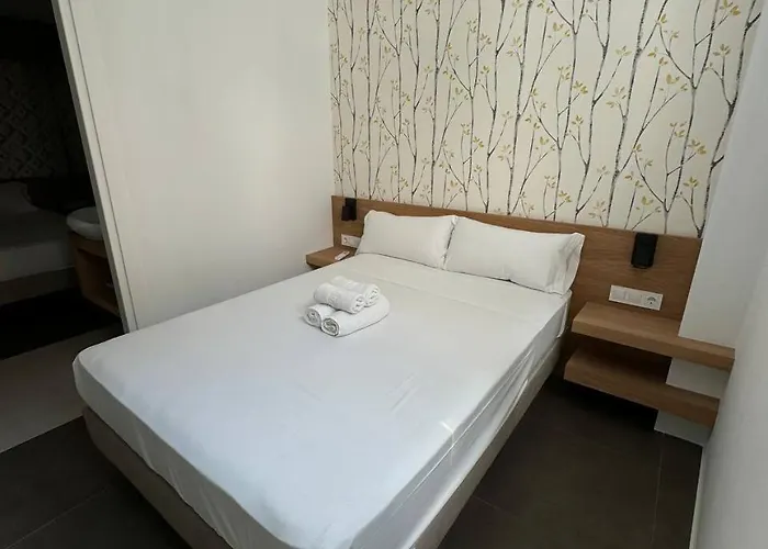 Con Bano Privado Y Cocina Compartida Valencia