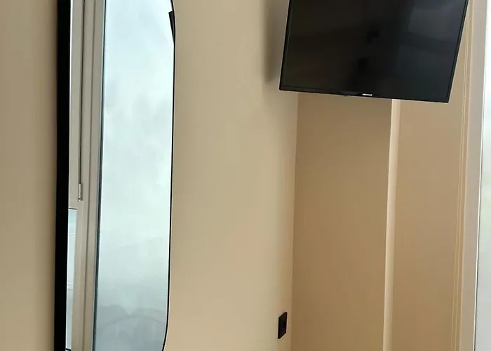 Optimus Comfort Campoamor 101