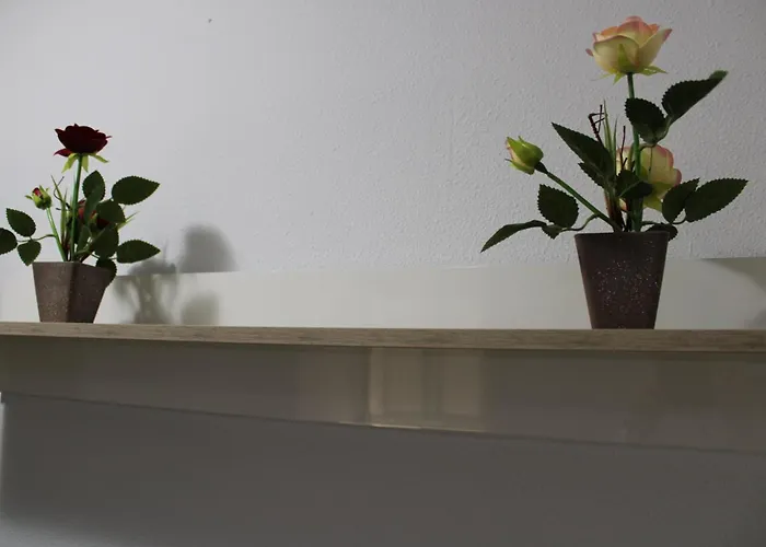 Carrer De María Montessori Apartamento Valência