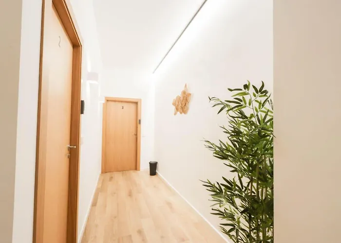 Roca 26 ゲストハウス