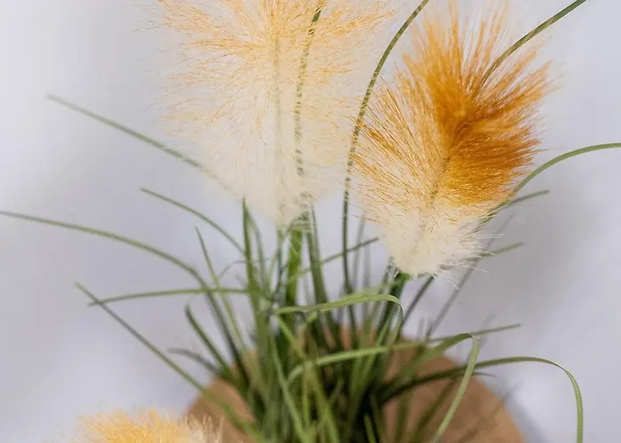 Delux דירה ולנסיה