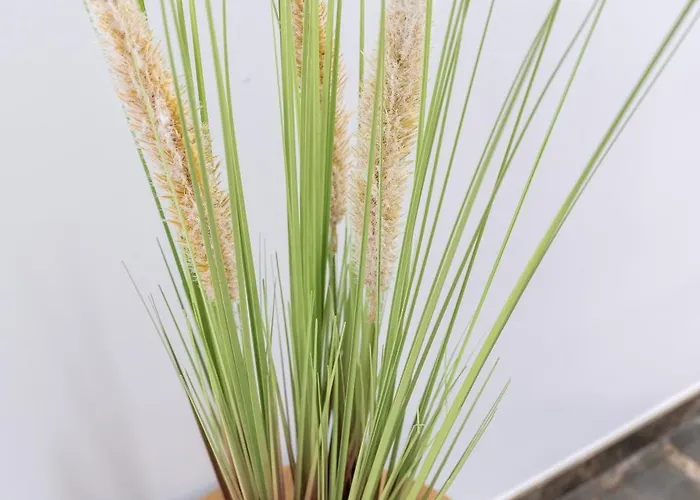 Delux דירה ולנסיה