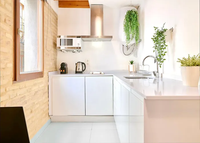 De Diseno En La Plaza Del Carmen F1 *