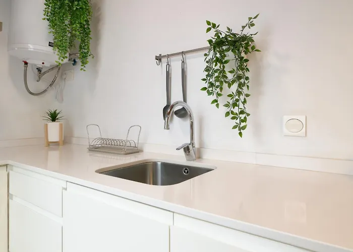 De Diseno En La Plaza Del Carmen F1 *