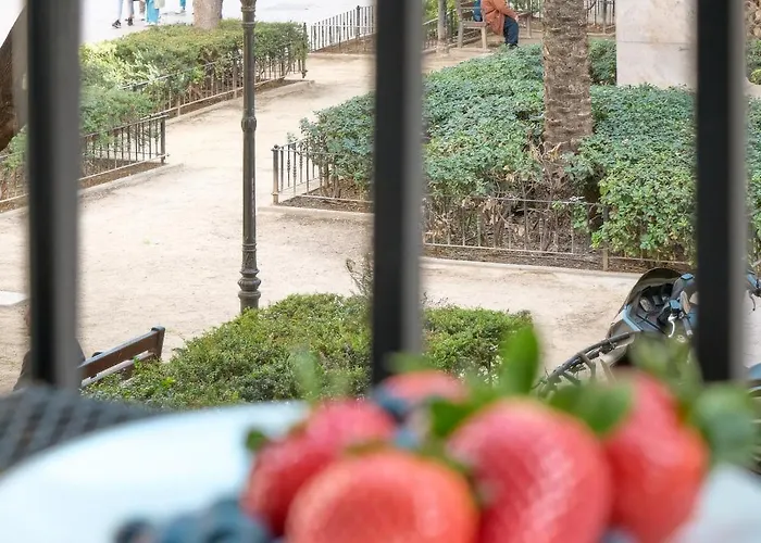 De Diseno En La Plaza Del Carmen F1 *