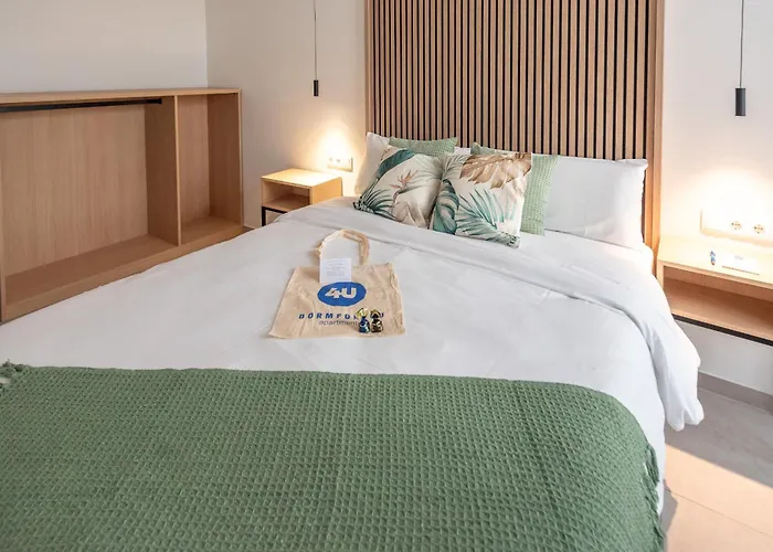 Dorm4you Arena Family 13