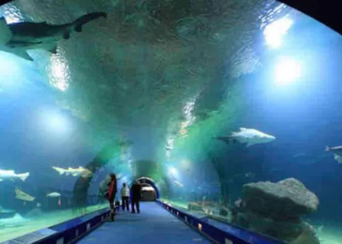 Διαμέρισμα Ruzafa Oceanograf Science Center *