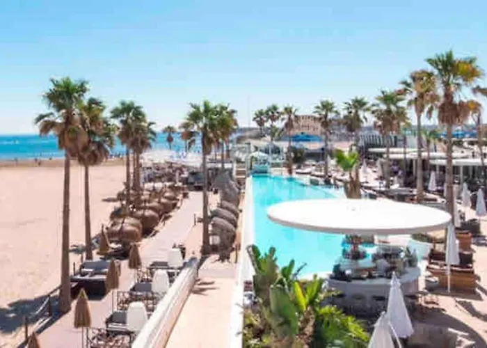 Ruzafa Experience Oceanografic Ciencias *