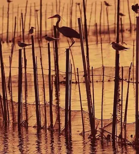 Ruzafa Experience Oceanografic Ciencias شقة *