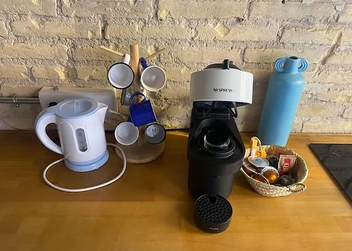 Ruzafa Experience Oceanografic Ciencias * فالنسيا