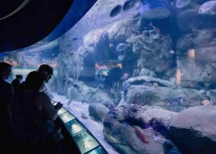 Ruzafa Experience Oceanografic Ciencias *