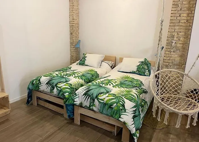 Ruzafa Experience Oceanografic Ciencias