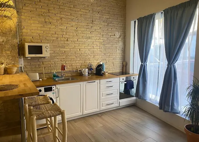 Ruzafa Experience Oceanografic Ciencias * فالنسيا