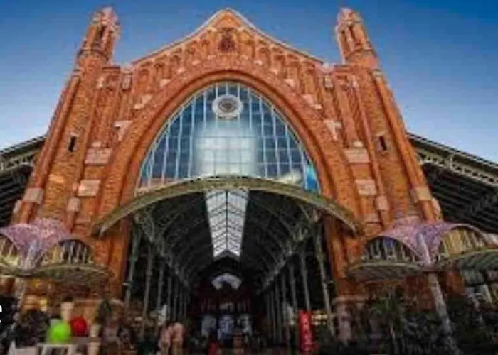 Ruzafa Experience Oceanografic Ciencias