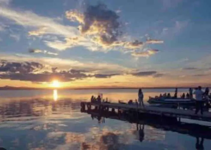Ruzafa Experience Oceanografic Ciencias *