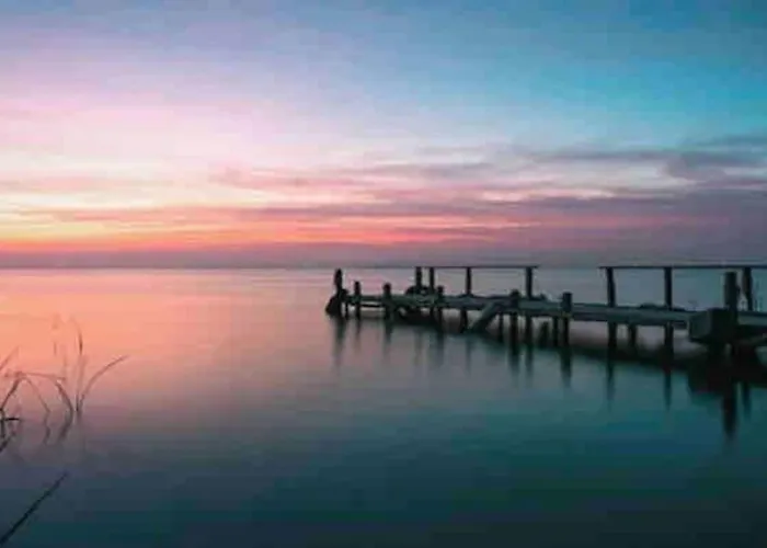 Ruzafa Experience Oceanografic Ciencias