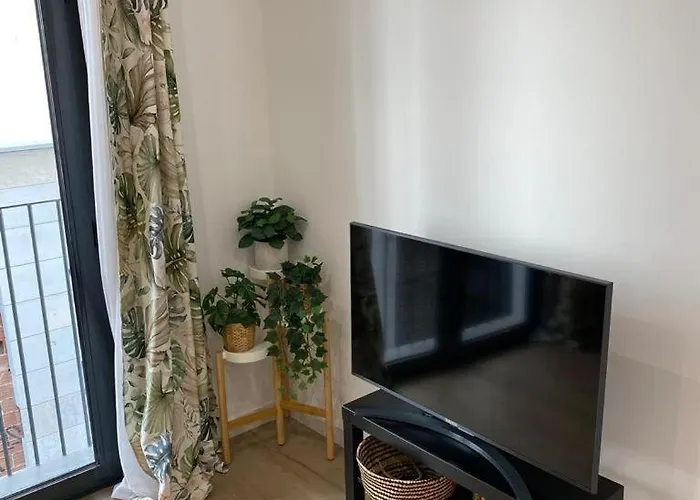 Escolano Mas 11 Noches 발렌시아