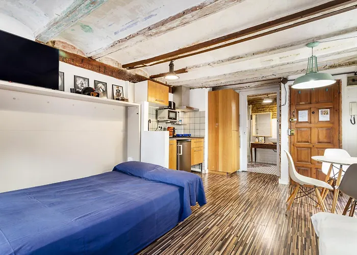 Loft Con Terraza En El Centro