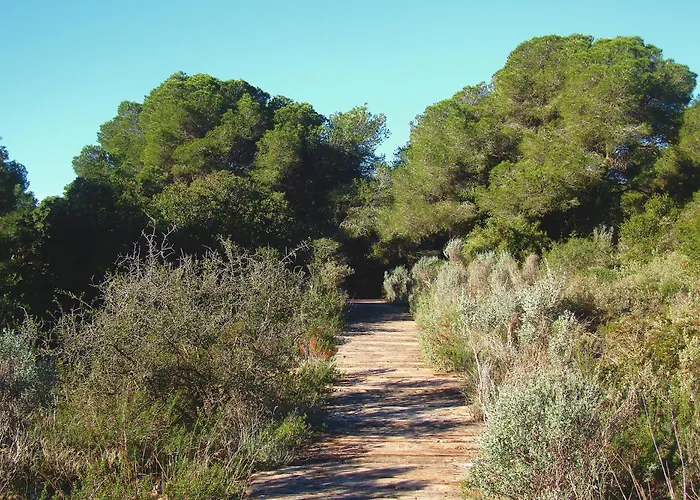 Albufera Dreams Nature 4* 발렌시아