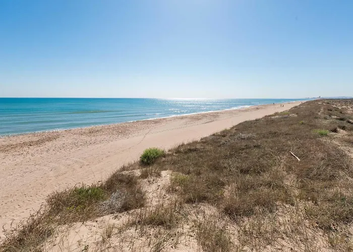 Albufera Dreams Nature
