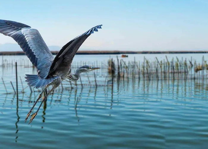 Albufera Dreams Nature 아파트호텔 4*