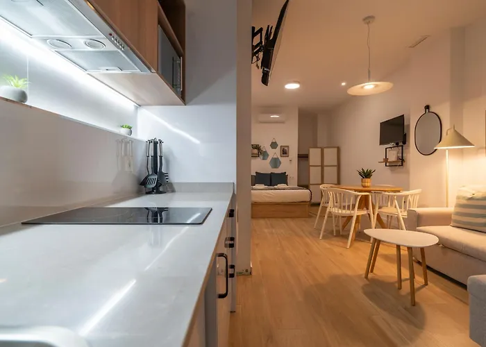 Vlc Host - Ausias March Appartement