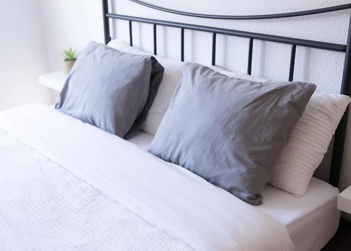 Cardenal 5 * 발렌시아