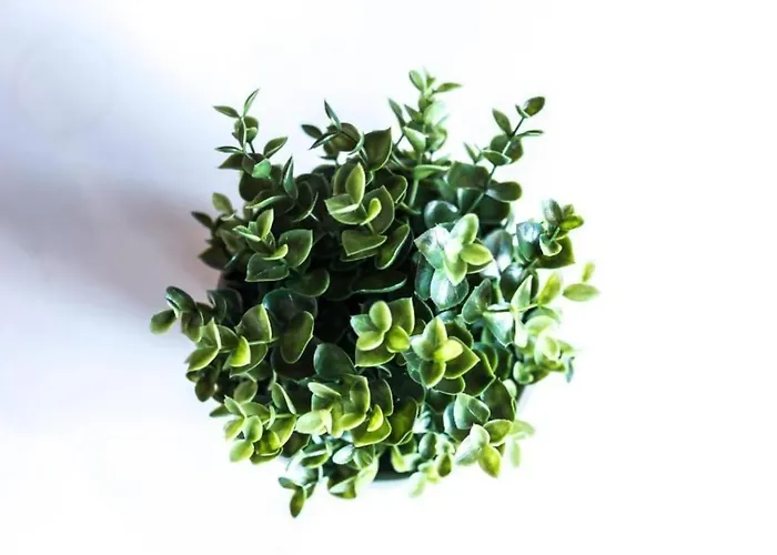 شقة Precioso Atico En Pleno Centro De *